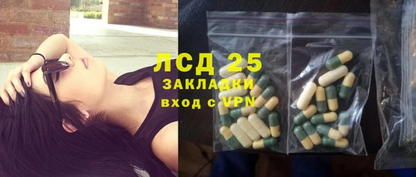 ПСИЛОЦИБИНОВЫЕ ГРИБЫ Белоозёрский