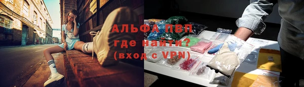 СК Беломорск