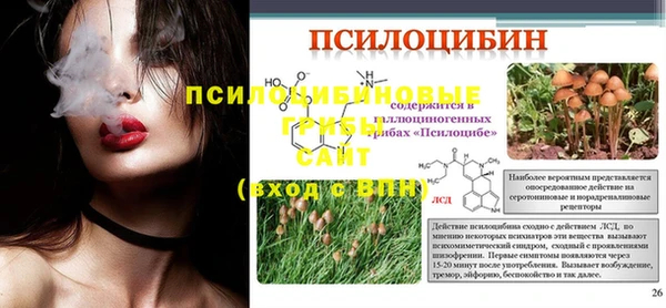 скорость Белокуриха