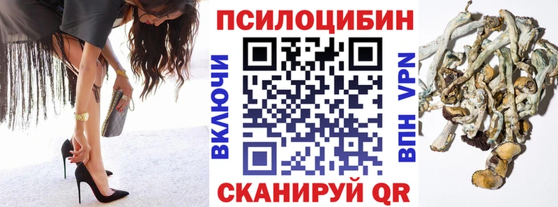 Галлюциногенные грибы GOLDEN TEACHER  Городовиковск 